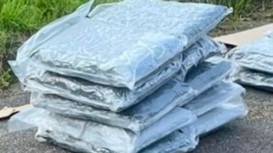 ZOLL-E: Supernasen - Zollhunde Fiete und Kim erschnüffeln über 50 kg Drogen im Wert von ½ Million Euro - 1 Person in Haft - Bild: presseportal.de