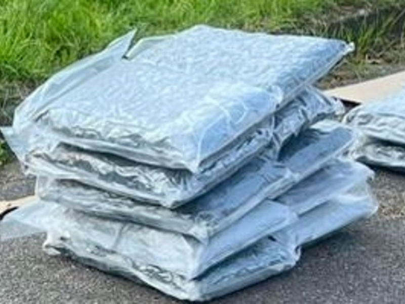 ZOLL-E: Supernasen - Zollhunde Fiete und Kim erschnüffeln über 50 kg Drogen im Wert von ½ Million Euro - 1 Person in Haft - Foto: presseportal.de