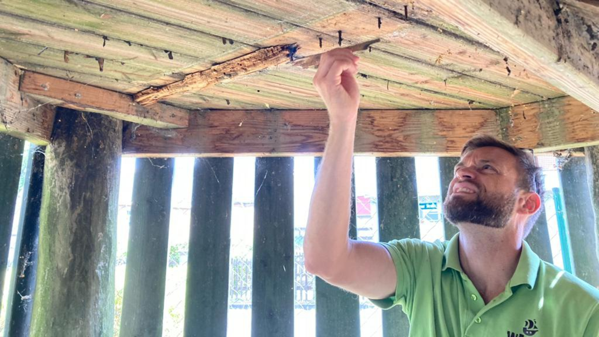 Spielplatz digital: Wie ein Leipziger Pilotprojekt Kommunen hilft, Wartungsstau und Sicherheitslücken zu vermeiden - Foto: presseportal.de