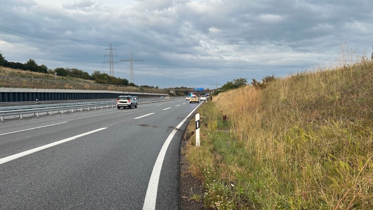 POL-PDLD: B10/AS LD-Nord - Ein Verkehrsunfall kann das Leben binnen weniger Sekunden komplett verändern - Foto: presseportal.de