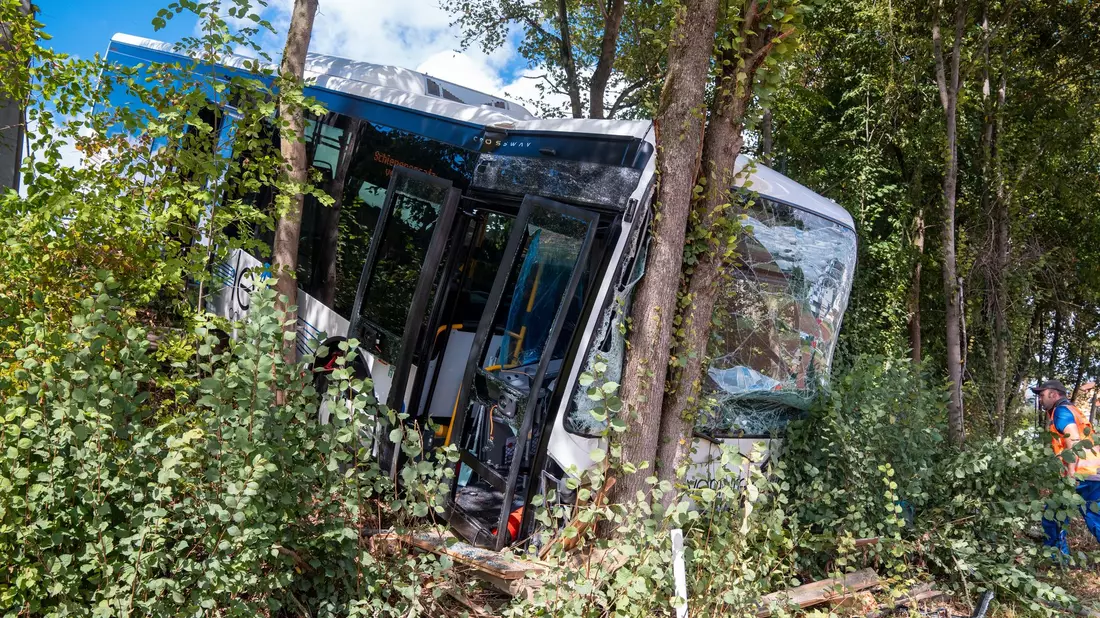 Der Bus kam nach dem Unfall erst im Gebüsch an einer steilen Böschung zum Stehen. - Bild: Lars Haubner/NEWS5/dpa