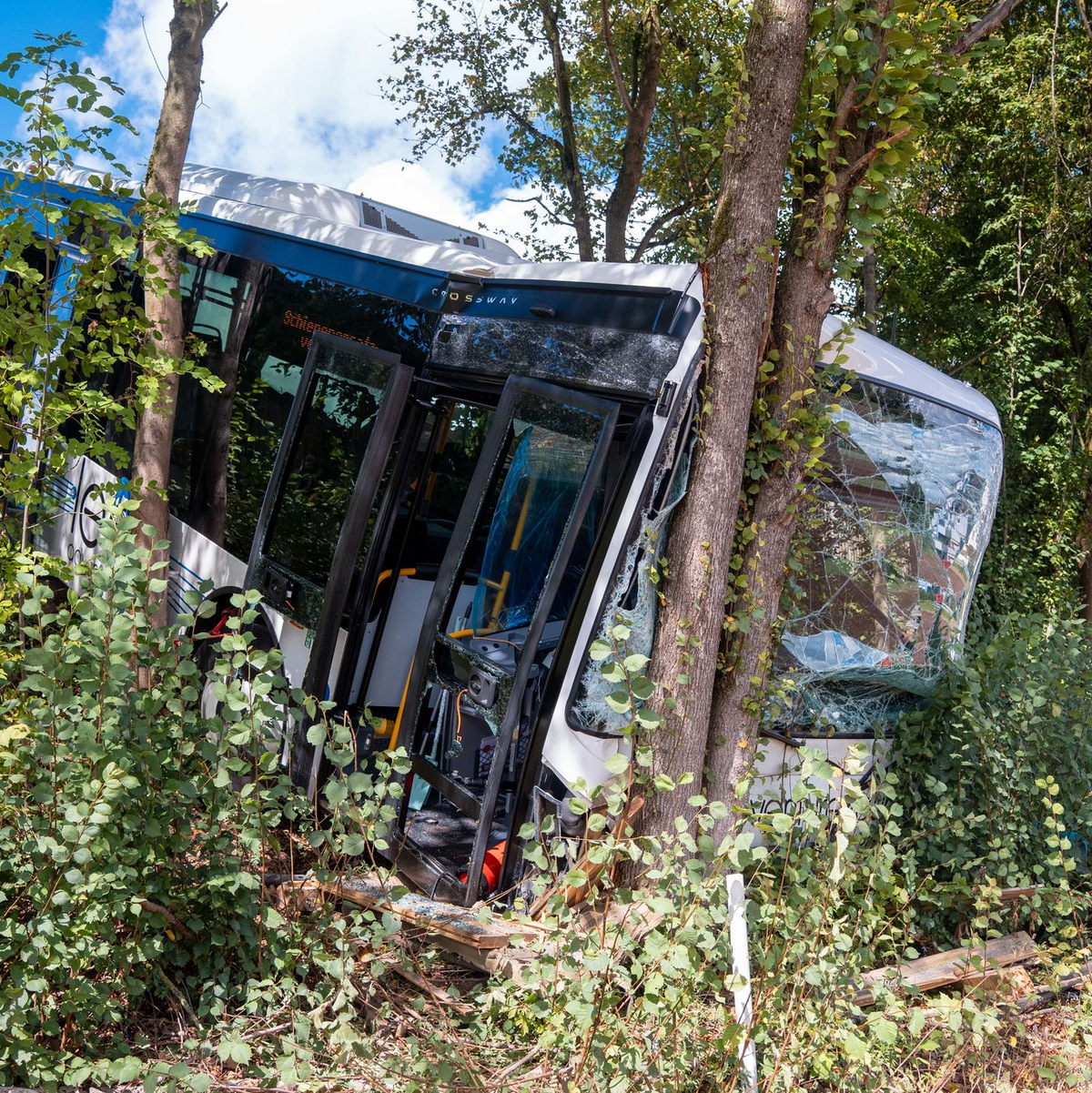 Der Bus kam nach dem Unfall erst im Gebüsch an einer steilen Böschung zum Stehen. - Foto: Lars Haubner/NEWS5/dpa