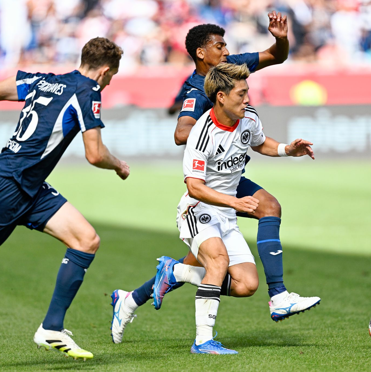 Ritsu Doan war von den Hoffenheimer kaum zu stoppen. - Foto: Uwe Anspach/dpa