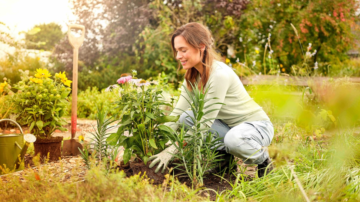 Klimafreundlich gärtnern: Jetzt torffrei in den Herbst starten - Foto: presseportal.de