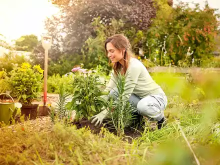 Klimafreundlich gärtnern: Jetzt torffrei in den Herbst starten - Foto: presseportal.de