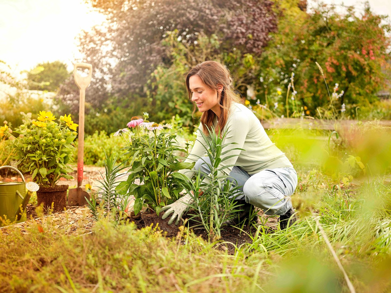 Klimafreundlich gärtnern: Jetzt torffrei in den Herbst starten - Foto: presseportal.de