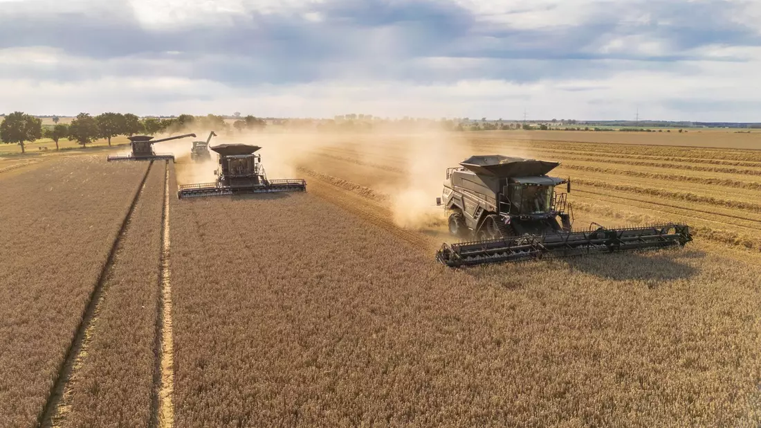 Agravis zieht Bilanz der Ernte 2025: Regional unterschiedlich - teilweise Top-Erträge - Bild: presseportal.de