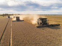 Agravis zieht Bilanz der Ernte 2025: Regional unterschiedlich - teilweise Top-Erträge - Foto: presseportal.de