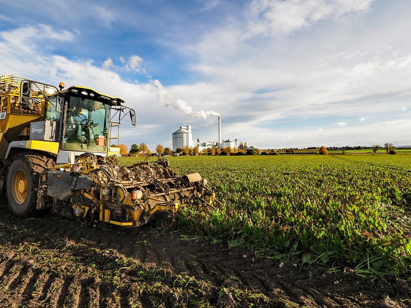 Nordzucker startet in die Kampagne 2025/26: Werke sind fit für die Rübenverarbeitung - Foto: presseportal.de