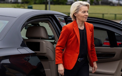 Das Flugzeug mit Ursula von der Leyen konnte am Ende sicher landen. (Archivbild) - Foto: Mindaugas Kulbis/AP/dpa
