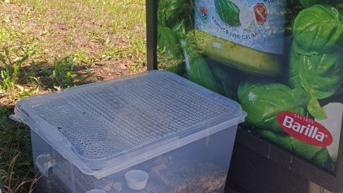 POL-OG: Niederbühl/Rastatt - Hamster zum Sterben ausgesetzt, Zeugenaufruf - Foto: presseportal.de