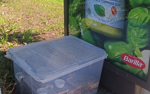 POL-OG: Niederbühl/Rastatt - Hamster zum Sterben ausgesetzt, Zeugenaufruf - Foto: presseportal.de