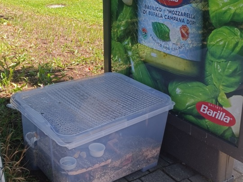 POL-OG: Niederbühl/Rastatt - Hamster zum Sterben ausgesetzt, Zeugenaufruf - Foto: presseportal.de