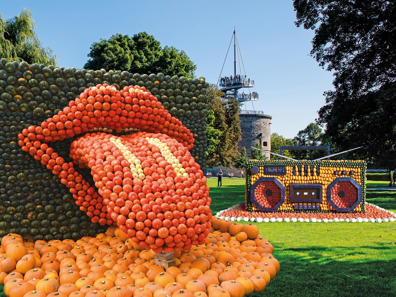 Kürbisausstellung im egapark Erfurt: Hier spielt der Kürbis die erste Geige! / Vom 6. September bis 31. Oktober 2025 gibt der Kürbis den Ton an - Foto: presseportal.de
