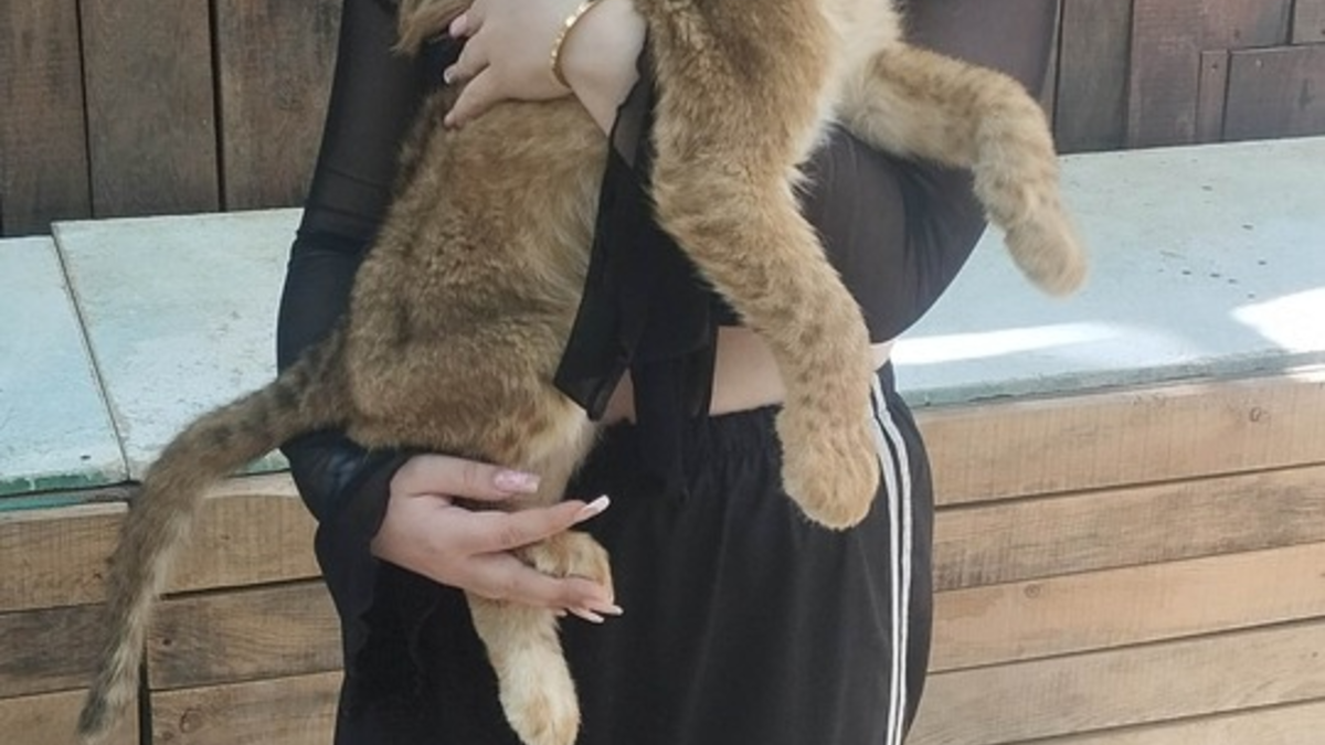 POL-HH: 250902-3. Vermisstenfahndung nach 14-Jähriger aus Hamburg-Neugraben-Fischbek - Foto: presseportal.de