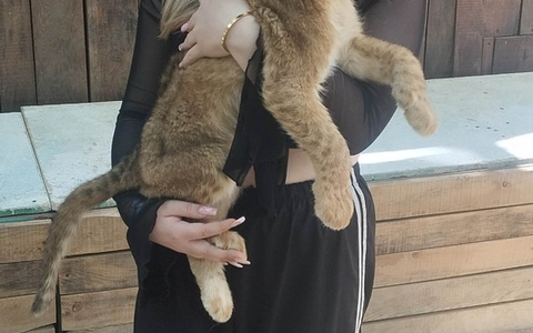 POL-HH: 250902-3. Vermisstenfahndung nach 14-Jähriger aus Hamburg-Neugraben-Fischbek - Foto: presseportal.de