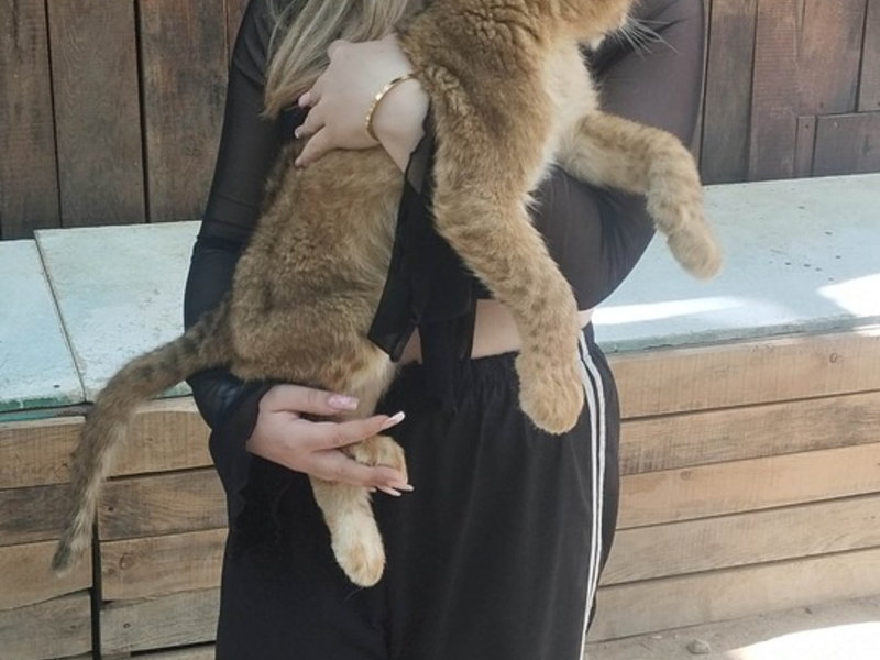 POL-HH: 250902-3. Vermisstenfahndung nach 14-Jähriger aus Hamburg-Neugraben-Fischbek - Foto: presseportal.de