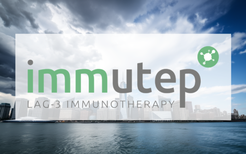 Immutep Aktie: Absturz mit Ansage? - Foto: über boerse-global.de