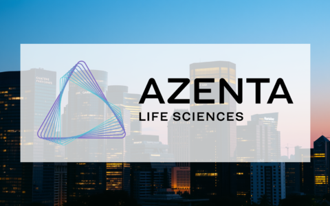 Hellofresh Aktie: Unabänderliche Misere? - Foto: über boerse-global.de Hellofresh Aktie: Unabänderliche Misere? - Foto: über boerse-global.de