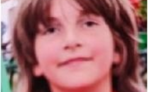 POL-GI: Lahn-Dill-Kreis: Vermisster 11-Jähriger aus Hüttenberg - Foto: presseportal.de