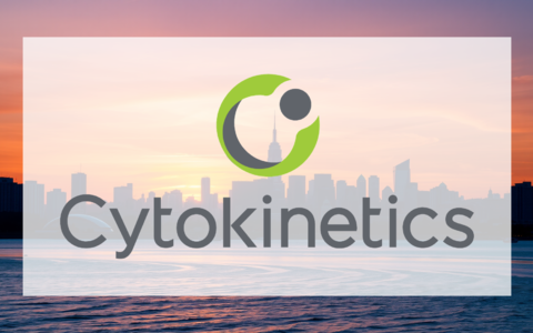 Cytokinetics Aktie: Explosion nach Studienerfolg! - Foto: über boerse-global.de