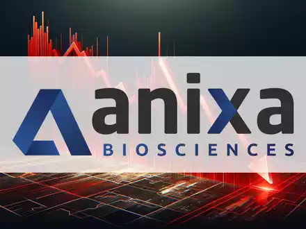 Anixa Biosciences Investors Brace for High-Stakes Week - Foto: über boerse-global.de