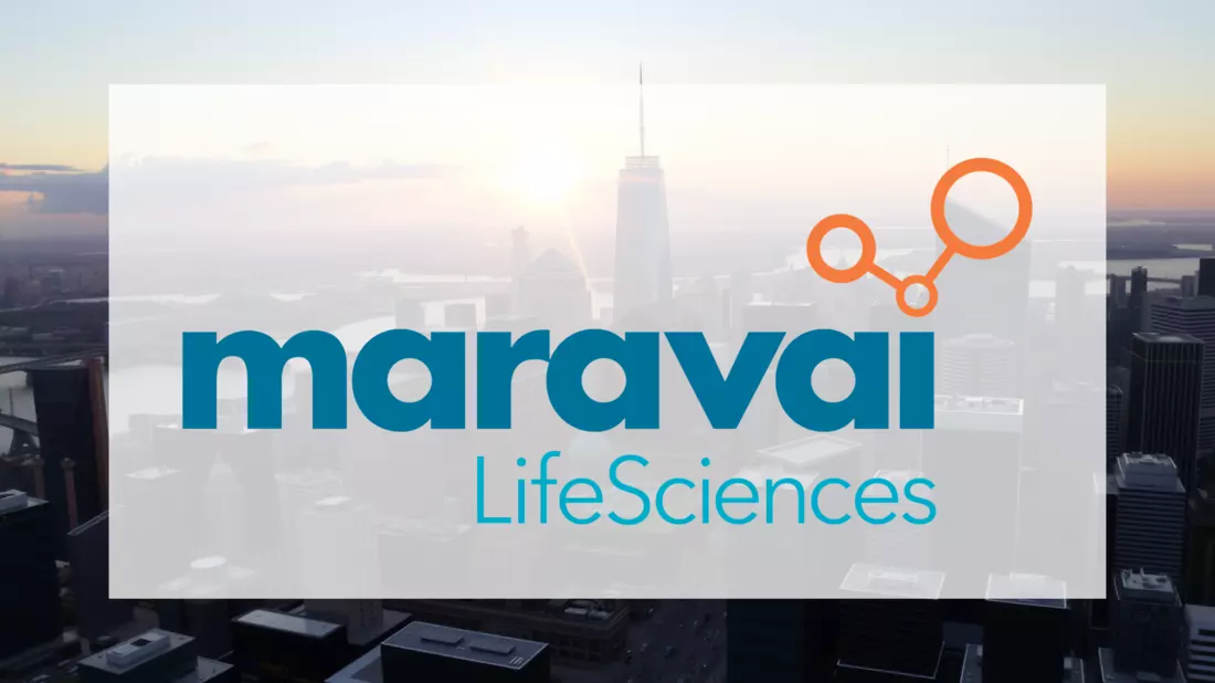 Maravai LifeSciences: Neustart mit radikalem Schnitt Illustration mit AI erstellt übermittelt durch boerse-global.de