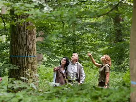 Todesfall in der Familie: Was ist jetzt zu tun und wer kann helfen? - Foto: presseportal.de