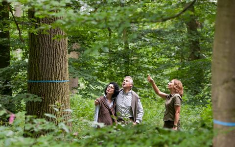Todesfall in der Familie: Was ist jetzt zu tun und wer kann helfen? - Foto: presseportal.de