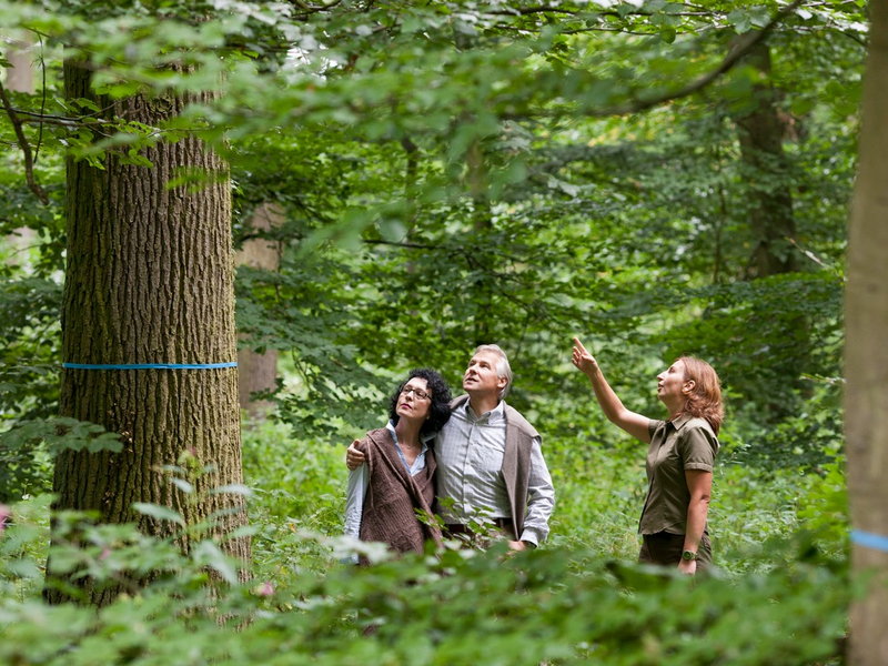 Todesfall in der Familie: Was ist jetzt zu tun und wer kann helfen? - Foto: presseportal.de