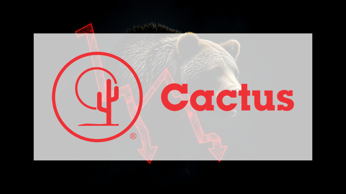 Cactus Aktie: Zerrissen zwischen Zuversicht und Zweifel - Foto: über boerse-global.de