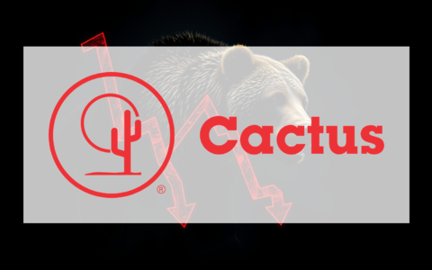Cactus Aktie: Zerrissen zwischen Zuversicht und Zweifel - Foto: über boerse-global.de