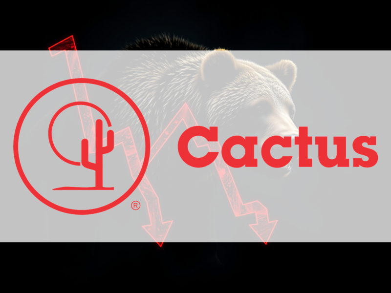 Cactus Aktie: Zerrissen zwischen Zuversicht und Zweifel - Foto: über boerse-global.de