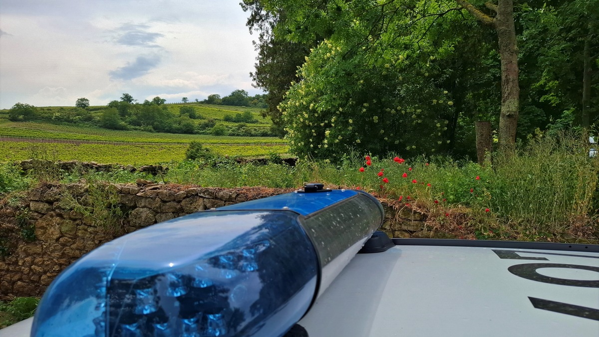 POL-PDNW: Verkehrsunfall unter Alkoholeinfluss - Foto: presseportal.de