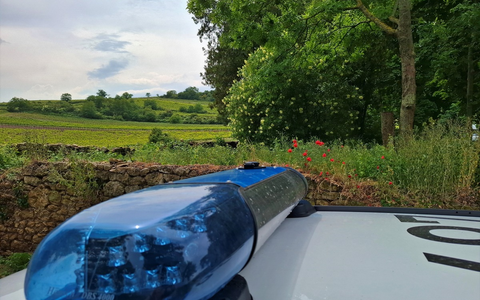 POL-PDNW: Verkehrsunfall unter Alkoholeinfluss - Foto: presseportal.de