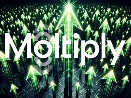 Moltiply Group Aktie: Starke Zahlen, aber großer Brocken - Foto: über boerse-global.de