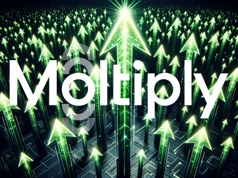 Moltiply Group Aktie: Starke Zahlen, aber großer Brocken - Foto: über boerse-global.de