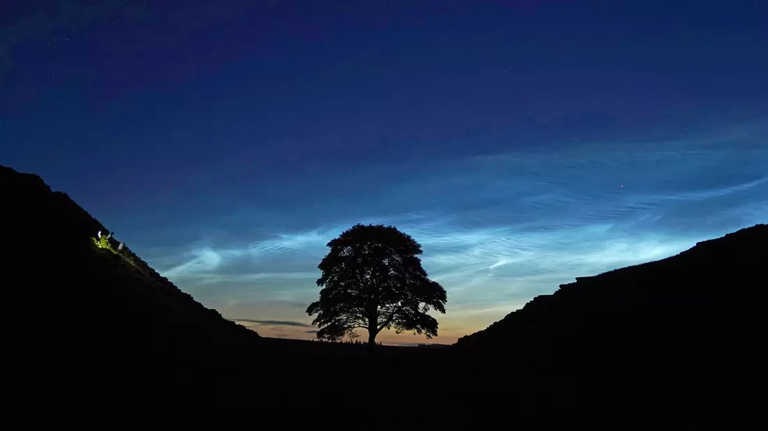 Der Sycamore Gap Tree in England war einst ein beliebtes Fotomotiv. (Archivfoto) - Bild: Owen Humphreys/PA Wire/dpa