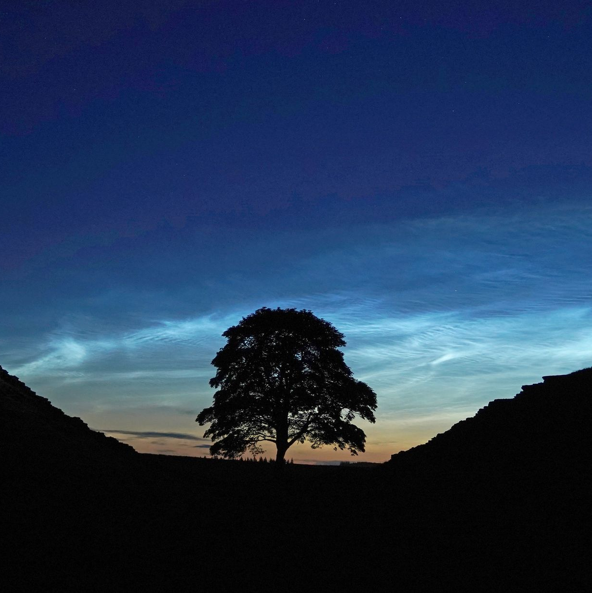 Der Sycamore Gap Tree in England war einst ein beliebtes Fotomotiv. (Archivfoto) - Foto: Owen Humphreys/PA Wire/dpa