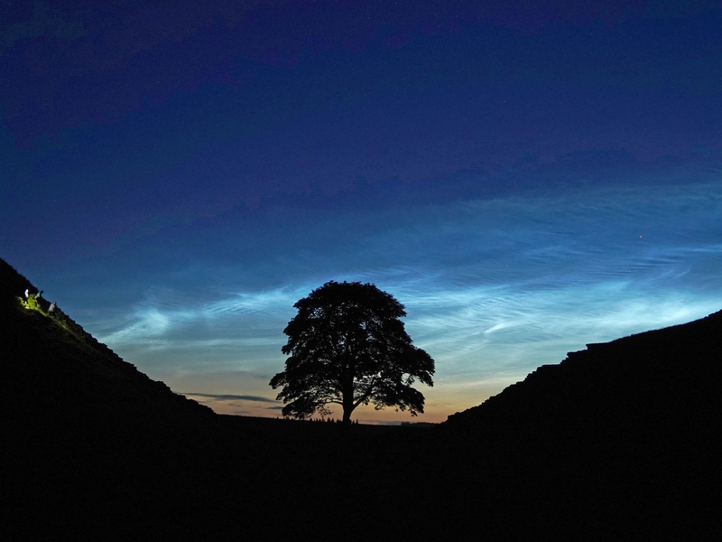 Der Sycamore Gap Tree in England war einst ein beliebtes Fotomotiv. (Archivfoto) - Foto: Owen Humphreys/PA Wire/dpa