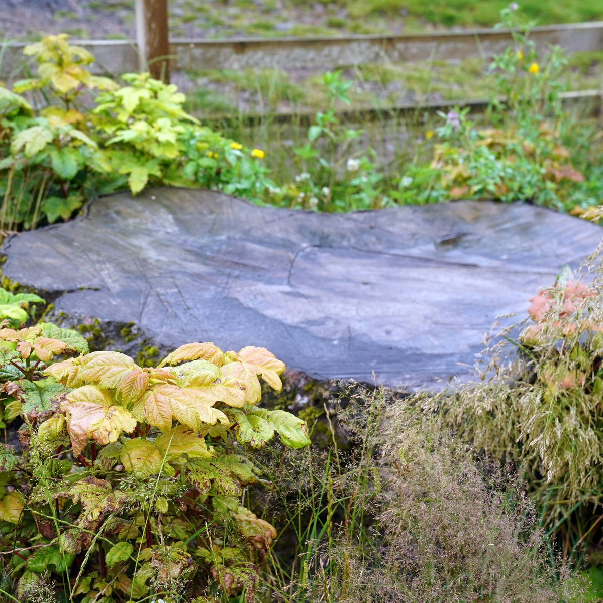 Die beiden Täter wurden zu mehr als vier Jahren Haft verurteilt. (Archivfoto) - Foto: Owen Humphreys/PA Wire/dpa