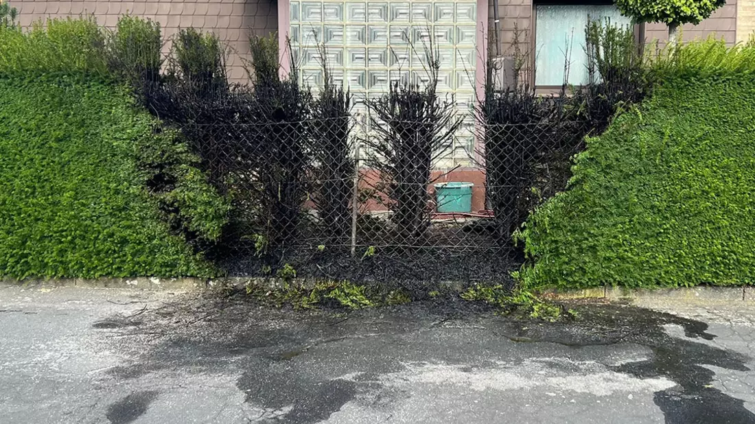 FW Hagen: Brandeinsatz - Heckenbrand im Ortsteil Boele - Bild: presseportal.de