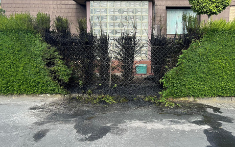 FW Hagen: Brandeinsatz - Heckenbrand im Ortsteil Boele - Foto: presseportal.de FW Hagen: Brandeinsatz - Heckenbrand im Ortsteil Boele - Foto: presseportal.de