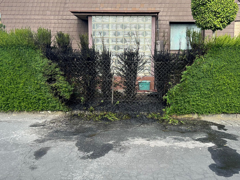 FW Hagen: Brandeinsatz - Heckenbrand im Ortsteil Boele - Foto: presseportal.de