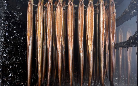 Als die Feuerwehr abrückte, waren die Aale noch nicht zu Ende geräuchert. (Symbolbild) - Foto: Holger Hollemann/dpa