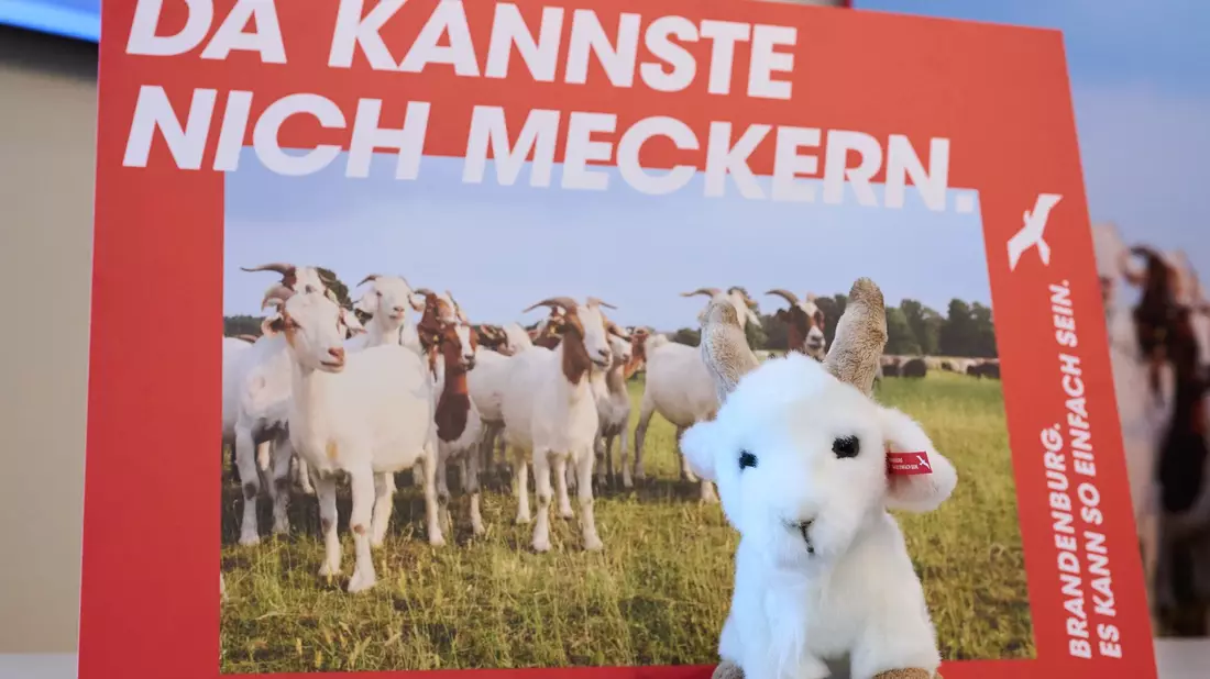 Brandenburg wirbt mit einer neuen Kampagne für Zuzüge aus Westdeutschland. (Archivbild) - Bild: Annette Riedl/dpa