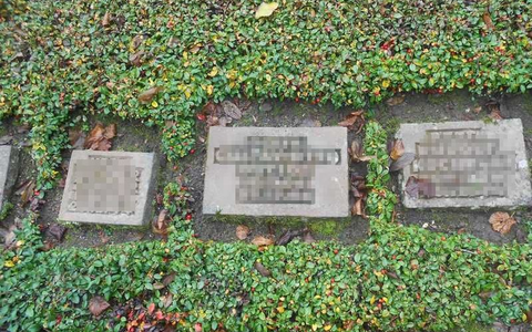 POL-PDWIL: Diebstahl von Grabtafeln der Kriegsgräberstätte Daleiden - Foto: presseportal.de POL-PDWIL: Diebstahl von Grabtafeln der Kriegsgräberstätte Daleiden - Foto: presseportal.de