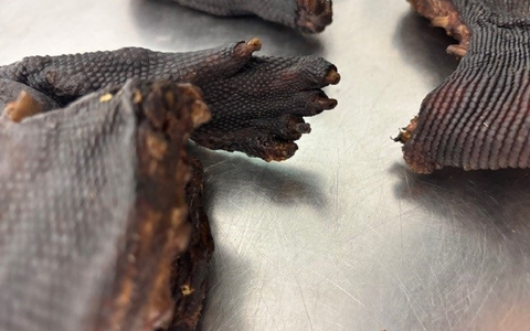 HZA-M: Zoll entdeckt Waranfleisch bei Reisendem aus Lagos - Foto: presseportal.de