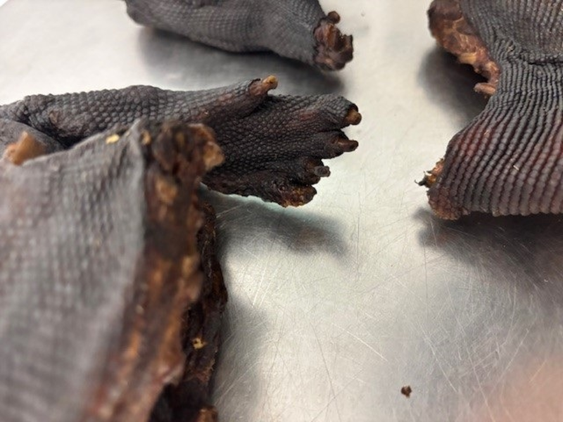 HZA-M: Zoll entdeckt Waranfleisch bei Reisendem aus Lagos - Foto: presseportal.de