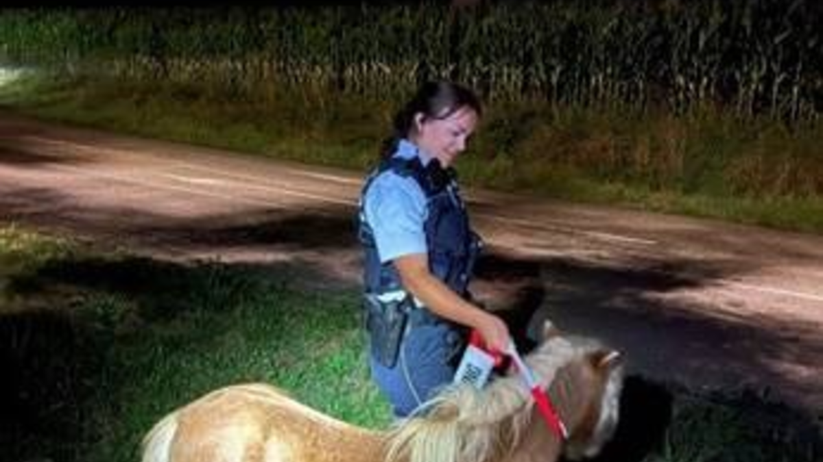 POL-OG: Mittelbaden - Mit guten Nachrichten ins Wochenende - Foto: presseportal.de